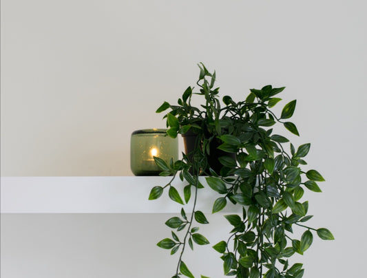 Refreshing your bathroom for Spring!