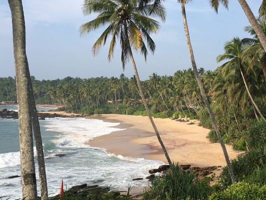 Me Time Musings, July 2020